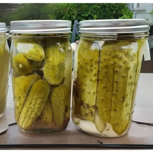 Ted's Montana Grill Pickled Cucumbers Recipe